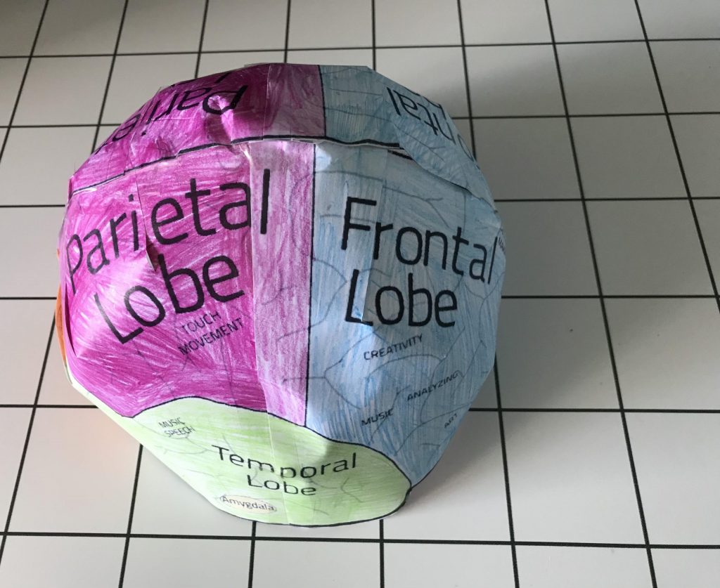 completed-brain-hat-example-1 - Curriculum